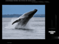 jtnaturephoto.com