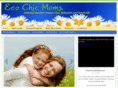 bestenvironmentallyfriendlycleaningproducts.com