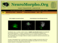neuromorpho.org