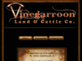 vinegarroon.com