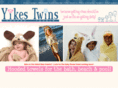 yikestwins.com