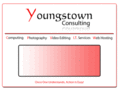 youngstowninc.com
