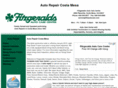 fitzautocare.com