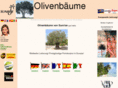oliven-baeume.com
