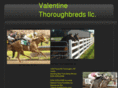valentinethoroughbreds.com