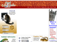 ani-mag.com
