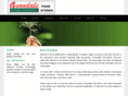 avondalestores.com