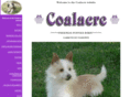 coalacre.com