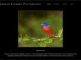 landonstarnesphotography.com