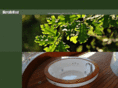 marcellowood.com