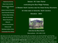 carolinacabinrental.com