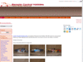 remotecontrolhobbies.com