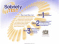 thesobrietytest.com