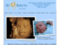 3dbabyvu.com