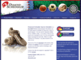 diamondscheduler.com