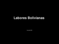 laboresbolivianas.com