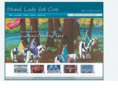 shawllady.com