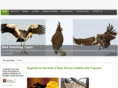 topcatssafaris.com