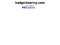 badgerbearing.com