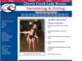 creekswimanddive.com