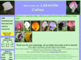 lakesidecallas.com