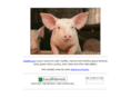 meatfinder.com