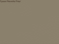 tysonflavorfulfour.com