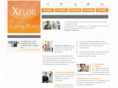 xelor-consulting.biz