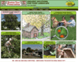 bostontreepreservation.com