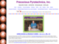 pyro-pro.com