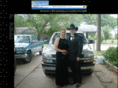 stevemea.com