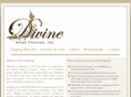 divinehomestaging.com