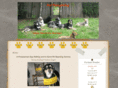 petpampering.com