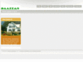 baazzar.com
