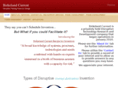 birkelandcurrent.com