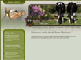 fermemystique.com