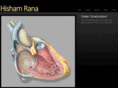 hishamrana.com
