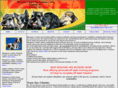 bluegrasscanine.com