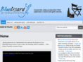 bluelizardproductions.com