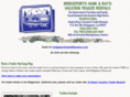 bridgeporttrailerrntls.com