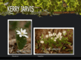 kerryjarvis.com