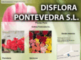 disflorapontevedra.es