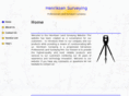 henriksensurvey.com