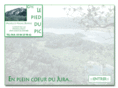 lepieddupic.com