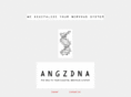angzoft.net