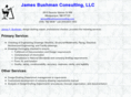 bushmanconsulting.com