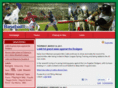 baseballitalia.com