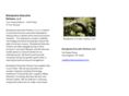 brandywinepartners.com