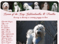 creamofthecropgoldendoodles.com