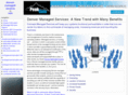 denver-managed-services.info